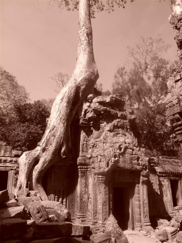 Angkor Wat, Kambodscha, 2012.