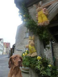 I love Easter Bunnies!