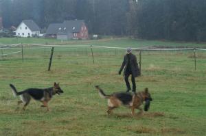 At my friend's farm in Germany.