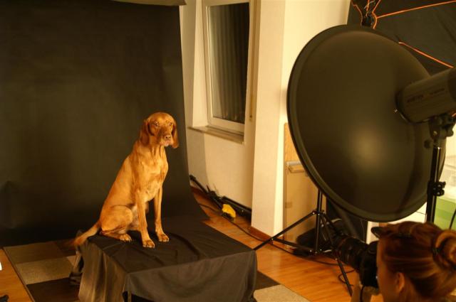 KONICA MINOLTA DIGITAL CAMERA