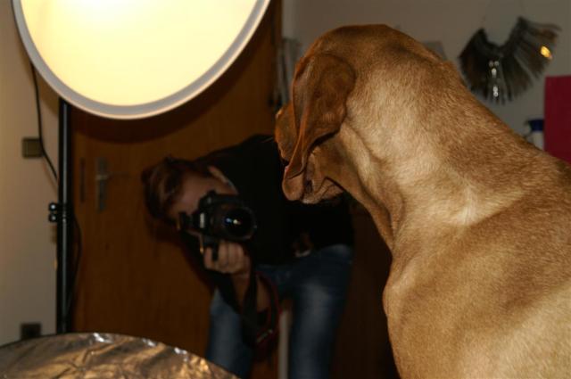 KONICA MINOLTA DIGITAL CAMERA