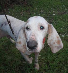 sl 12a, auch ihr verhalten menschen gegenueber wird langsam offener