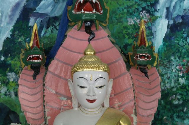 KONICA MINOLTA DIGITAL CAMERA