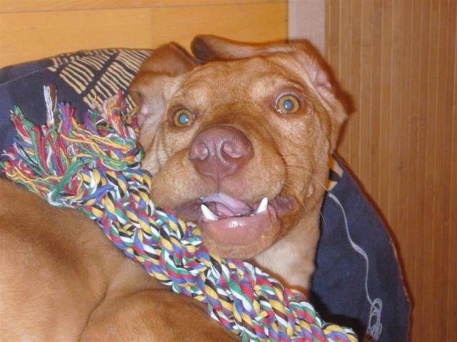 Me at the first evening in Germany/Mein erster Abend in Deutschland