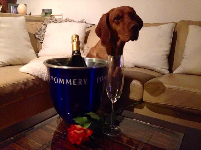 Gaston_Pommery