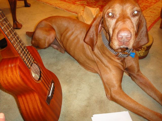 Bitte Ruhe!/Quiet please!