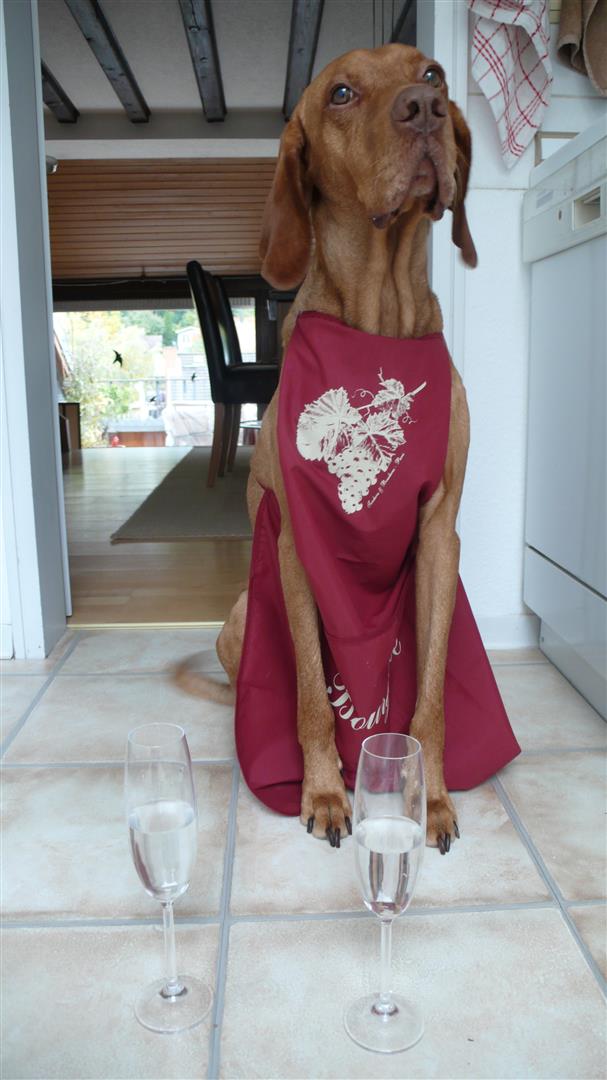 Für Nachschub sorgen./The Barkeeper.