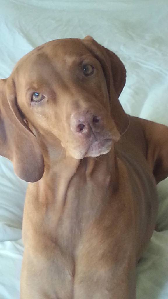 Lexi aus meinem Sehnsuchtsland Texas!