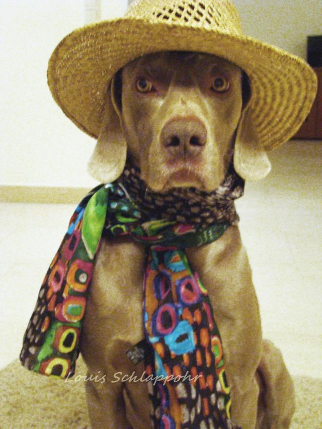 Louis in einem anderen Kostüm./Louis changed often.