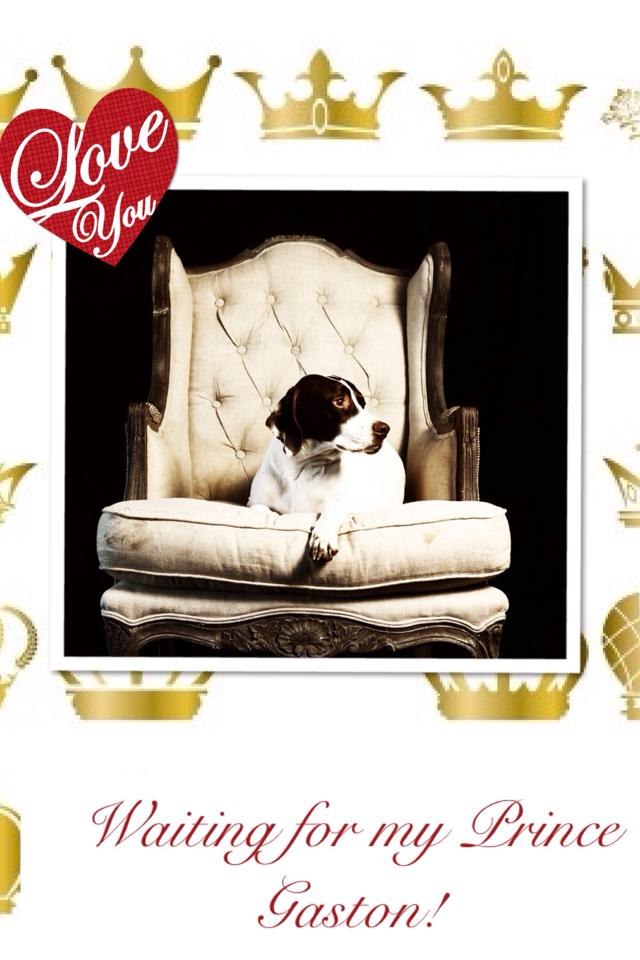 Motte erholt sich von den 5 Gläsern Schampus./5 glasses of champagne were too many for Motte.