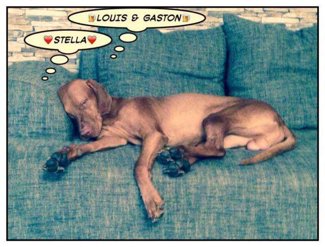 Paul träumt von seinen Partyflirts./Paul dreams of his sweet romance at the party.