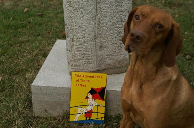 KONICA MINOLTA DIGITAL CAMERA