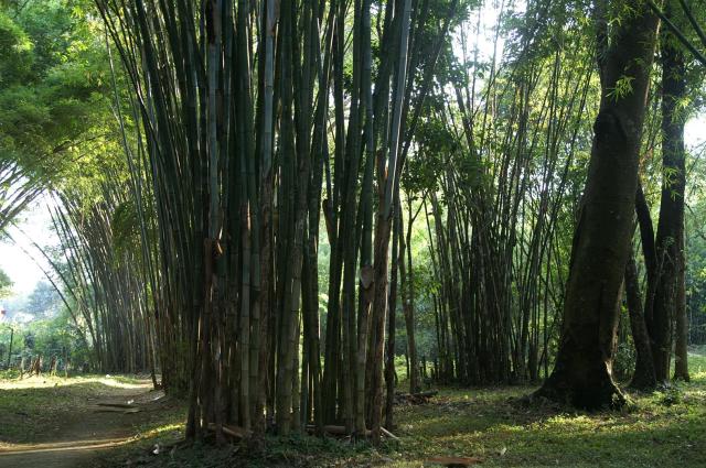 KONICA MINOLTA DIGITAL CAMERA