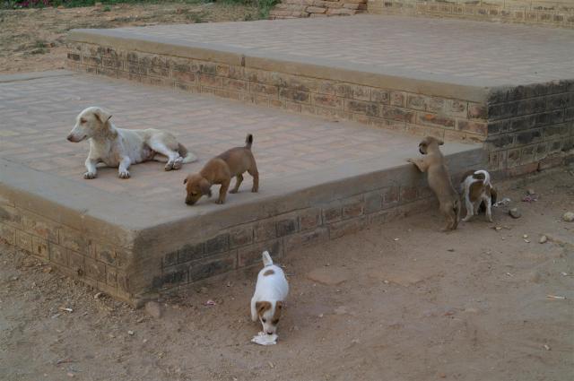 KONICA MINOLTA DIGITAL CAMERA