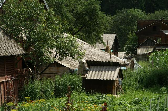 KONICA MINOLTA DIGITAL CAMERA