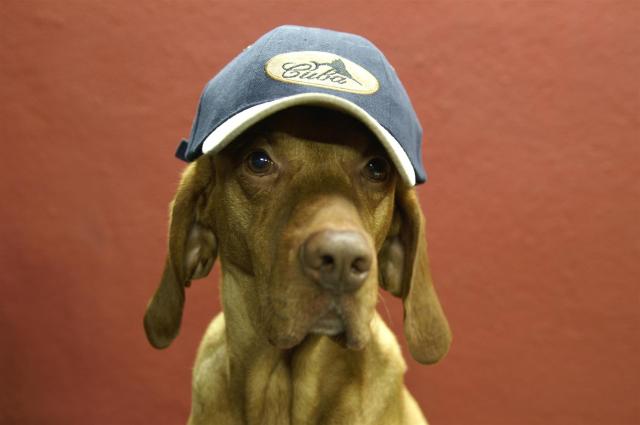 KONICA MINOLTA DIGITAL CAMERA