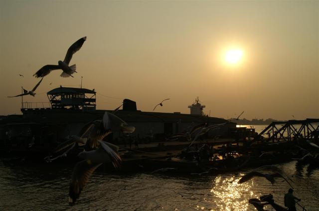 KONICA MINOLTA DIGITAL CAMERA