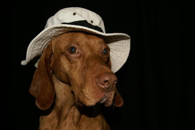 KONICA MINOLTA DIGITAL CAMERA