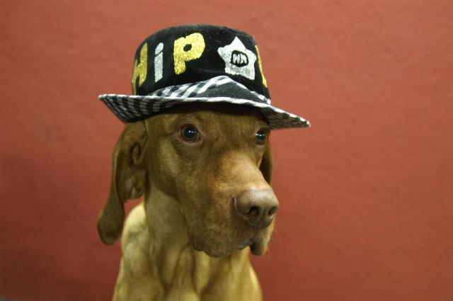 KONICA MINOLTA DIGITAL CAMERA