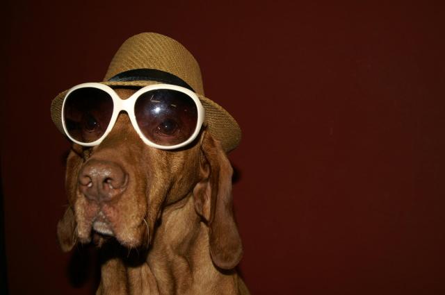 KONICA MINOLTA DIGITAL CAMERA