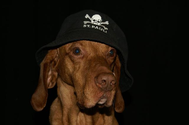 KONICA MINOLTA DIGITAL CAMERA