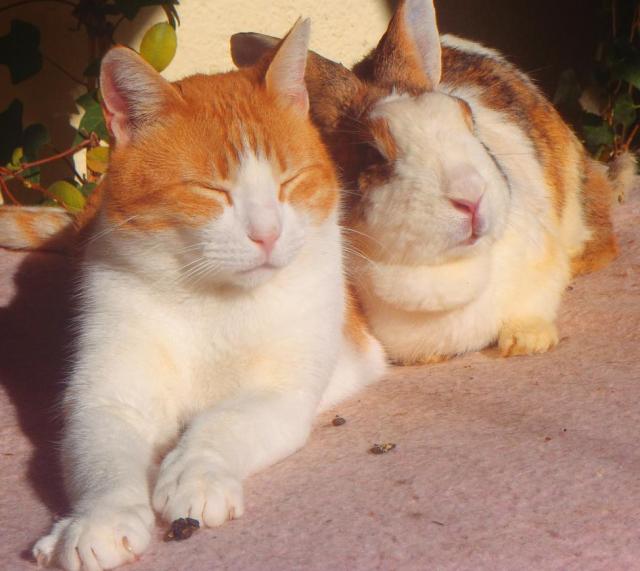 Bunny: Und was liebst du an mir am meisten? Visi: Alles. Ich liebe einfach alles an dir und so wie du bist. 