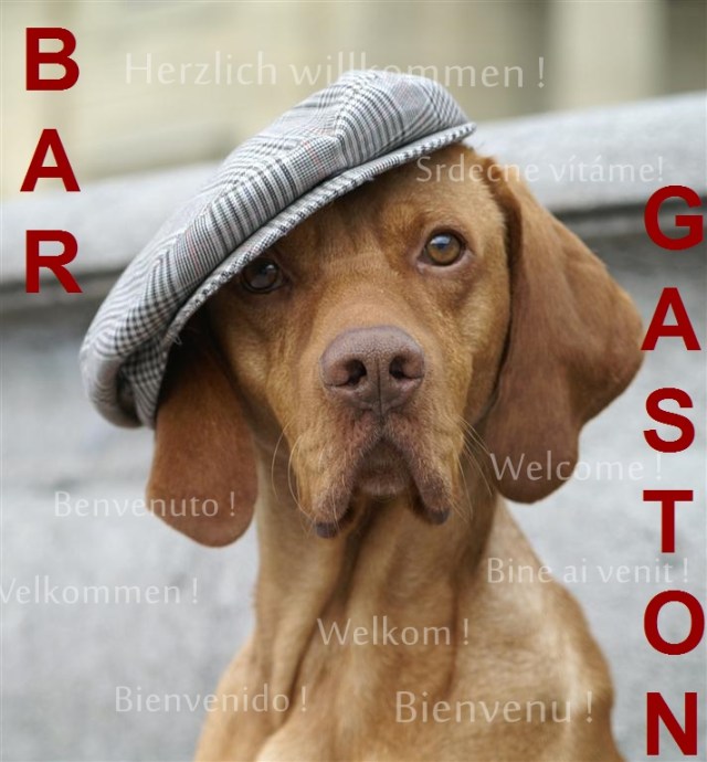 528099_280440652032336_41770465_nb