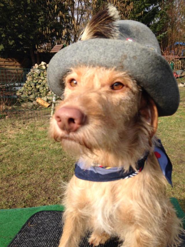 Patch Borders Schwester als österreich-ungarische Adelsdame./Patch Border's sister Bobo as an aristocrat.