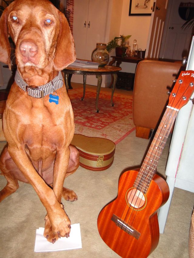 Gitarrist Hank aus England./Famous British guitarrist Hank.