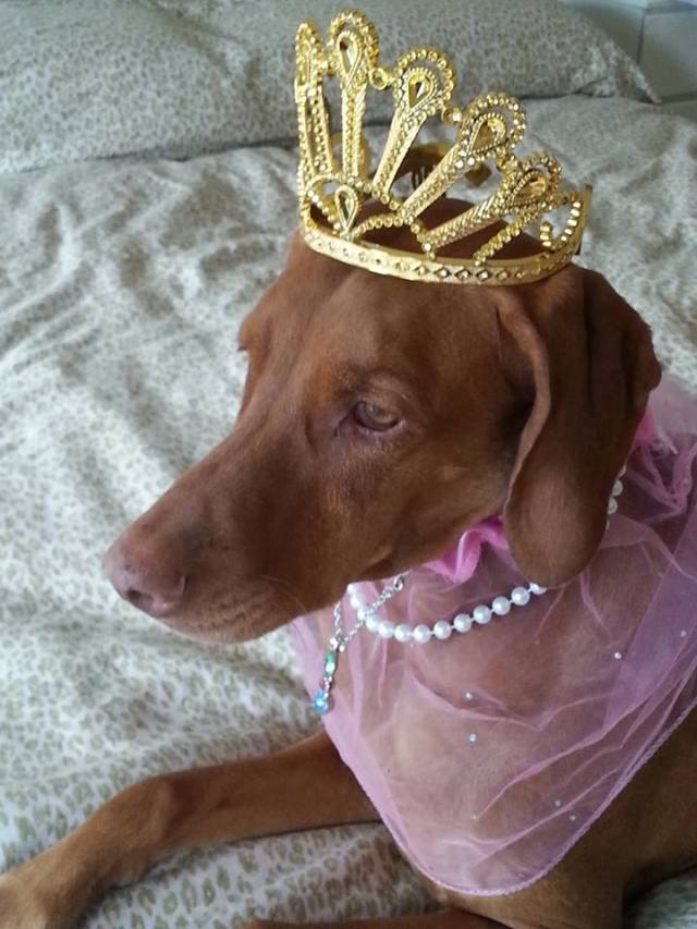 Lexi, die "Maria Callas von Texas"./Singer Lexi on stage.