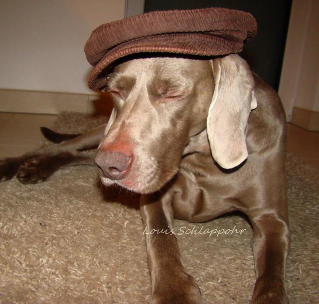 Er kam bereits müde an./He arrived already very tired.