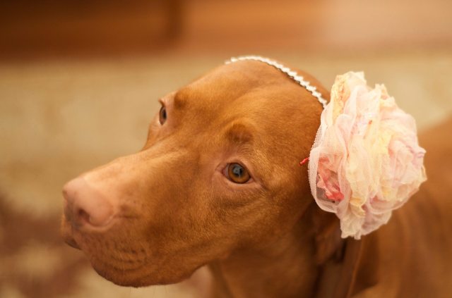 Mina beim Flirten./Mina liked to flirt!