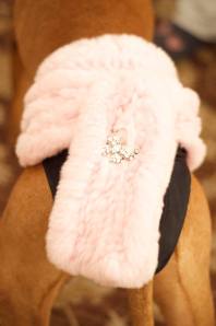 Wuff, Mina!/Wooof, Mina, our Italian darling.