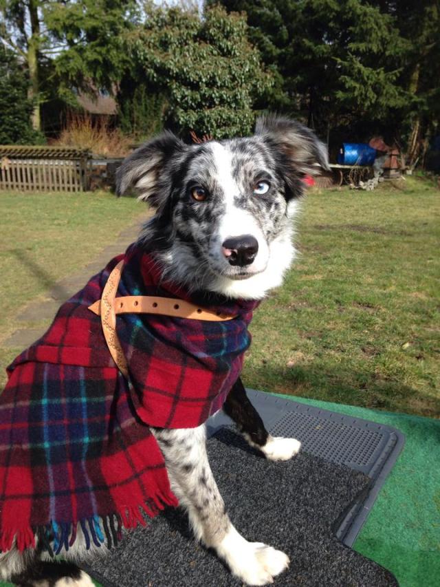 Highlander Patch Border.