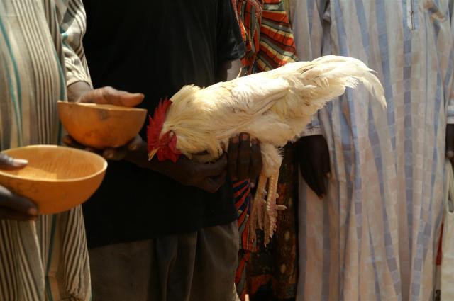 KONICA MINOLTA DIGITAL CAMERA