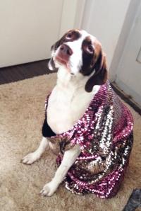 Motte: "Wo ist nur mein Gaston?"