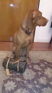 Am Abflugtag hatte sie schon seit Stunden gepackt und konnte die Reise kaum erwarten.