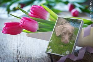 10307016_1442462775995607_585686548_n