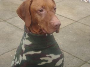 Binky Short, zuständig für Security und Elektrik.