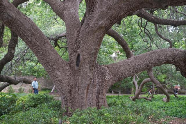 DSCF3160 (Large) (2)