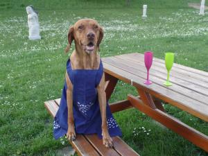 Wetter passt. Wir können auch im Garten feiern.