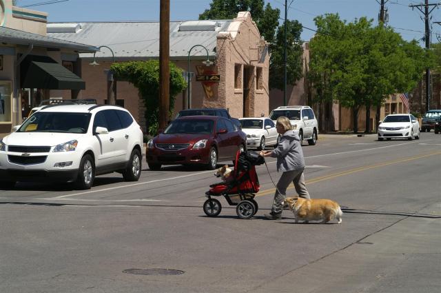 KONICA MINOLTA DIGITAL CAMERA