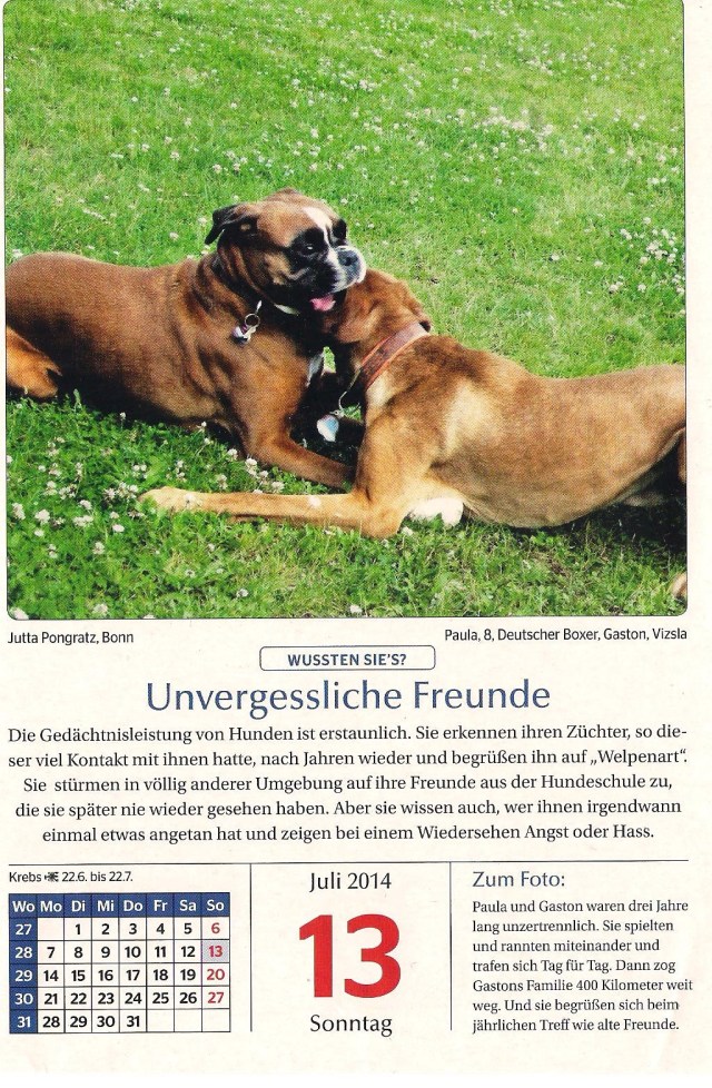 07 Gaston_Paula 0714