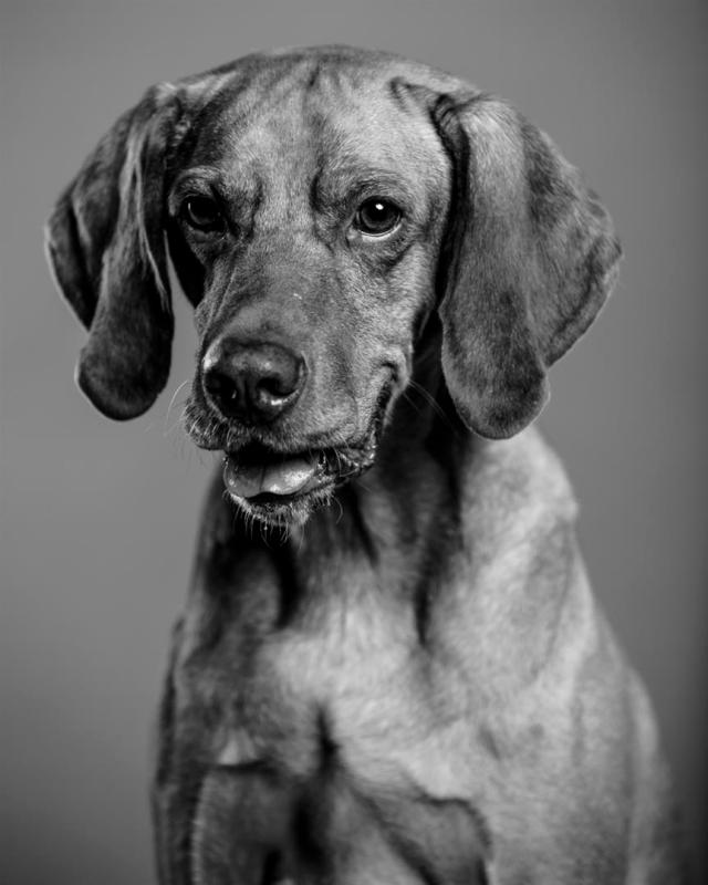 gaston2014WEB-7706 (Large)