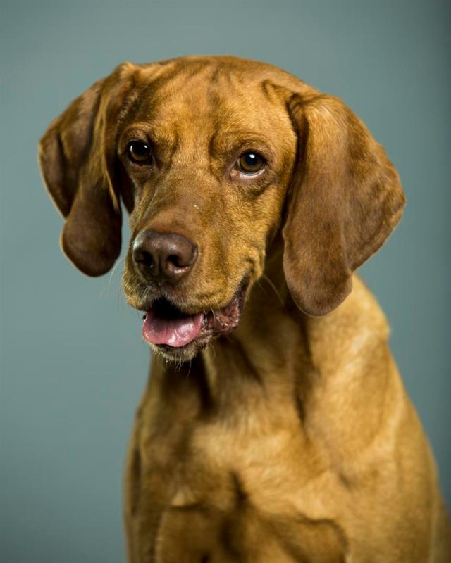 gaston2014WEB-7717 (Large)