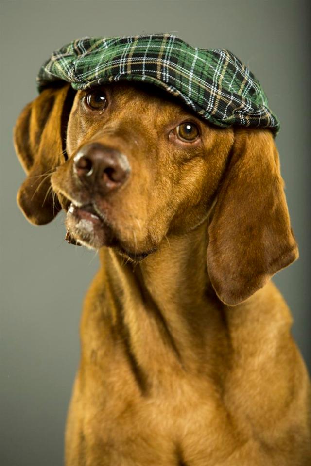 gaston2014WEB-7772 (Large)