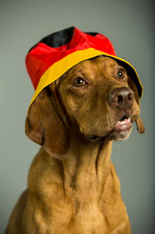 gaston2014WEB-7822 (Large)