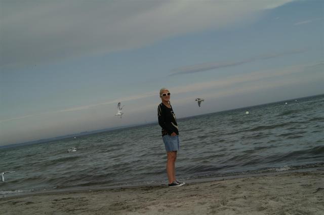 KONICA MINOLTA DIGITAL CAMERA