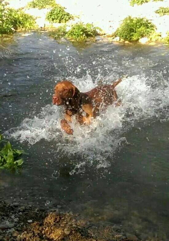 Wyatt, was für eine coole Socke!