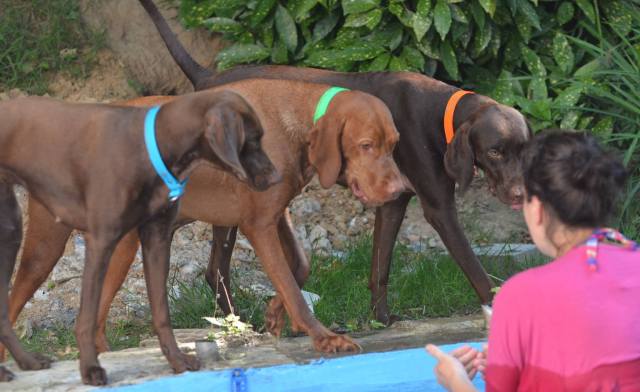 Bademeisterin Julia: Nee, so geht das gar nicht! Jetzt hört mir mal genau zu.